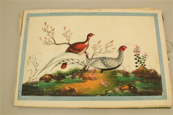 A Chinese album of eight pith paintings of birds and two of a procession of boats, 19th century, 25 x 37cm